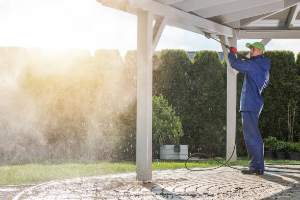 Best Animal Enclosure Cleaning  in Wabasso Beach, FL
