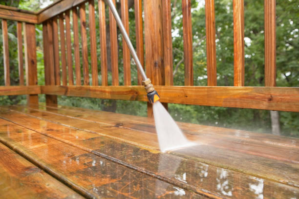 Best Fence Cleaning  in Wabasso Beach, FL